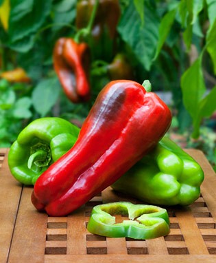 Big Bertha Bell Pepper